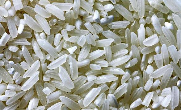 Investigadora INIA explica ventajas comparativas del arroz chileno