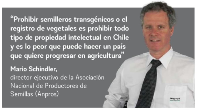 Productores de semillas cuestionan borrador de nueva Constitución