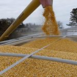 Estados Unidos analiza múltiples opciones para desbloquear exportación de grano desde Ucrania