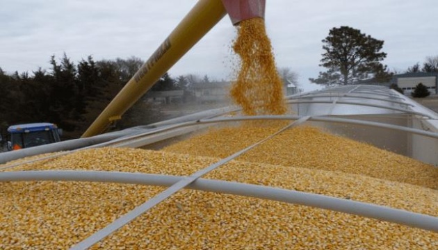 Estados Unidos analiza múltiples opciones para desbloquear exportación de grano desde Ucrania