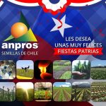 ¡Muy felices Fiestas Patrias!