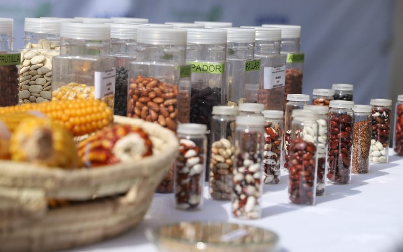 Ministerio de Agricultura implementará plan nacional de soberanía alimentaria para asegurar material genético patrimonial