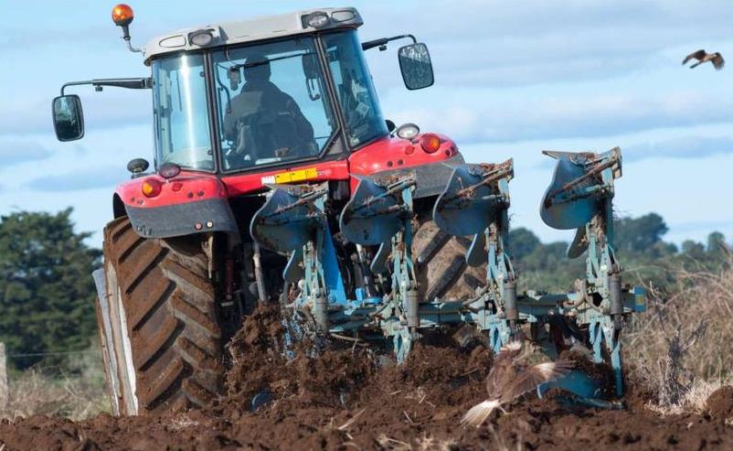 Proyectan menor intención de siembra de papas por alza en los costos de producción