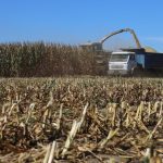 El desafío de la industria agroalimentaria es avanzar hacia la sostenibilidad