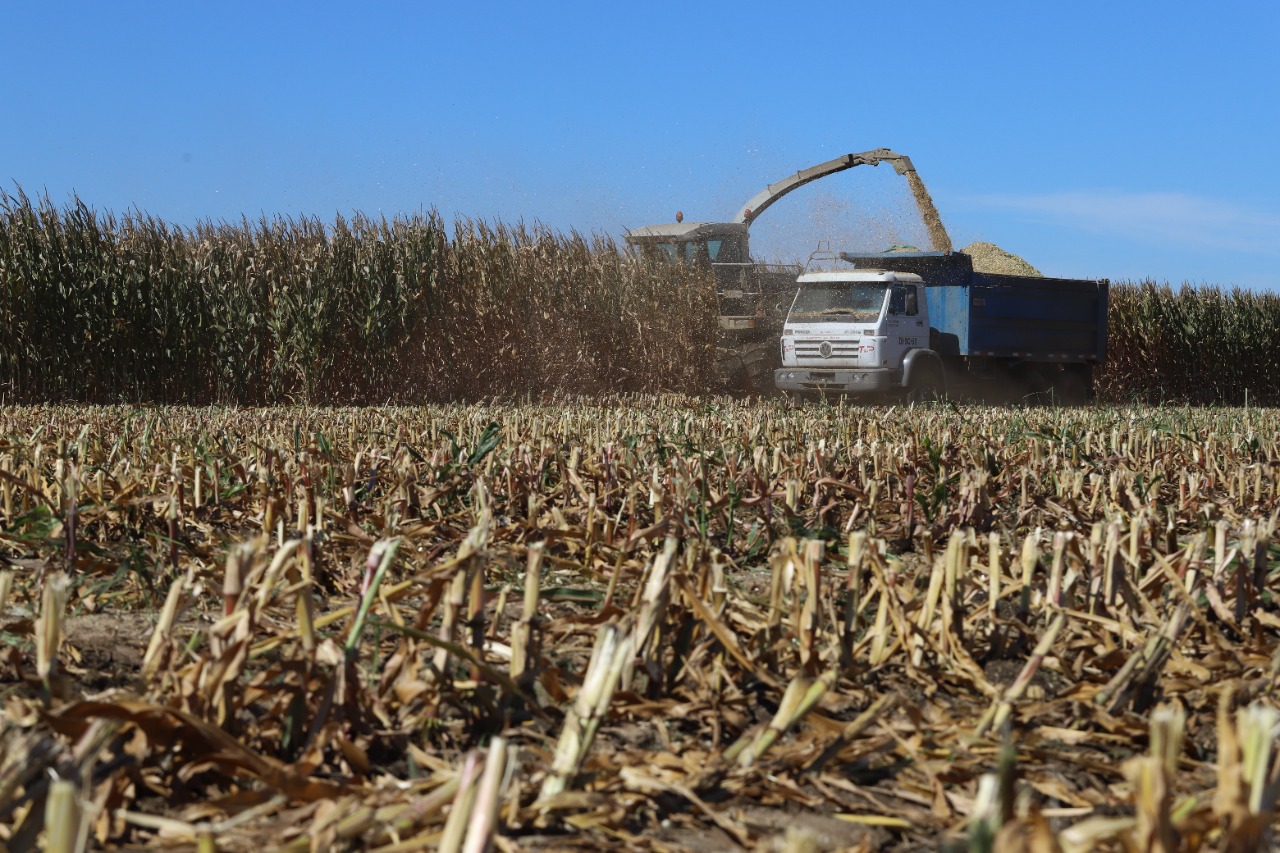 El desafío de la industria agroalimentaria es avanzar hacia la sostenibilidad