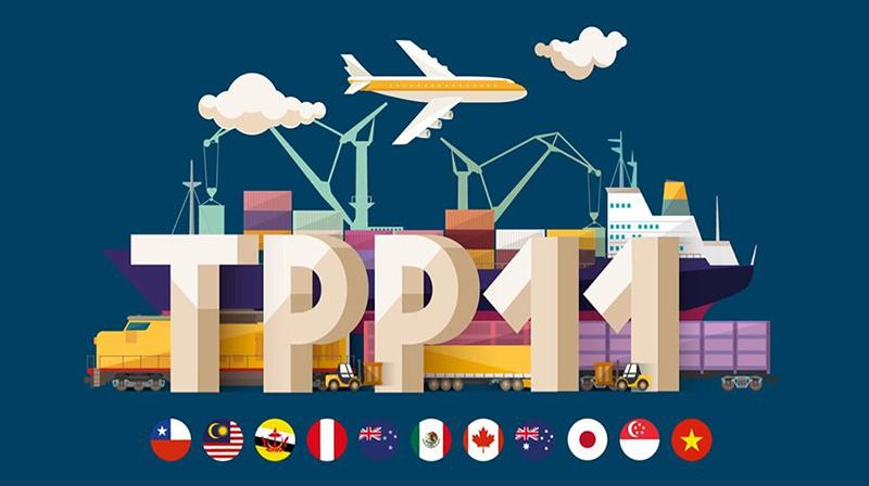El TPP11 ya entró en vigencia: ¿De qué se trata y qué cambios implica?