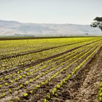 Holding Anasac se une a GLEBA