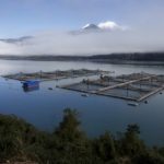 Región de Los Lagos: Exportaciones crecen 11,1% en enero de 2023