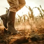 La ISF se ensucia las botas con una nueva asociación
