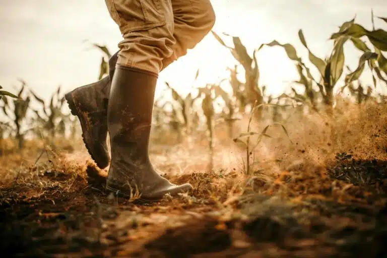 La ISF se ensucia las botas con una nueva asociación