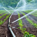 ¿Cómo afectará la Ley de Riego a los agricultores chilenos y a las bonificaciones?