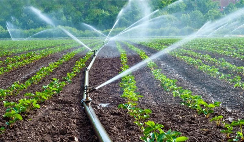 ¿Cómo afectará la Ley de Riego a los agricultores chilenos y a las bonificaciones?