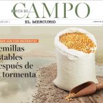 REVISTA DEL CAMPO DESTACA INDUSTRIA SEMILLERA: CALMA, DESPUÉS DE LA TORMENTA