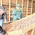 Productores de semillas de papa certificaron su calidad y producción para la venta