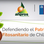HORTALIZAS- CAPACITACIÓN CONVENIO DE VIGILANCIA FITOSANITARIA 2023
