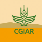 ISF y CGIAR forjan una asociación para mejorar el acceso de los agricultores a semillas de calidad e innovación