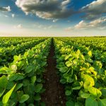 Un estudio muestra que la tecnología agrícola está ayudando a reducir las emisiones