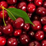 Importancia de la Propiedad Intelectual en la industria frutícola