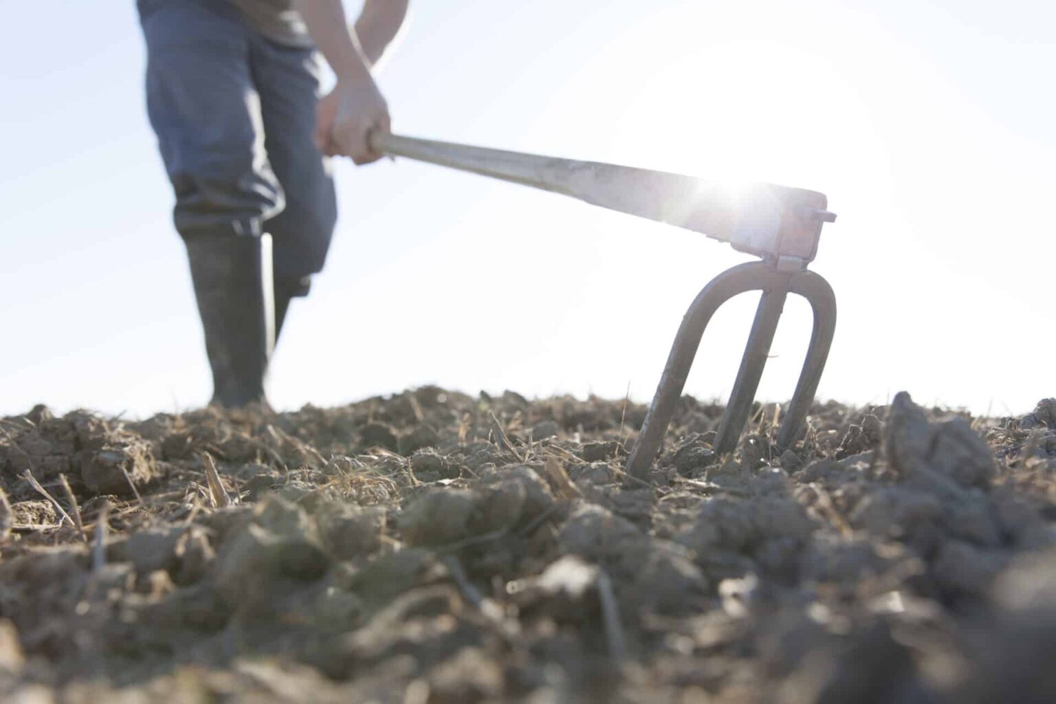 La FAO publica 15 estudios de caso sobre el uso de biotecnologías para satisfacer las necesidades de los pequeños agricultores