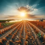 El impacto de las olas de calor y la seguridad alimentaria