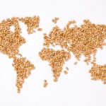 El trabajo de la industria semillera para erradicar el hambre