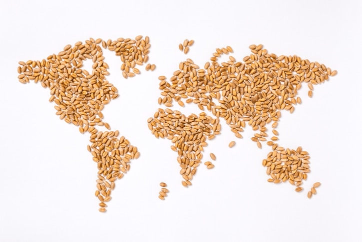 El trabajo de la industria semillera para erradicar el hambre