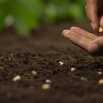 Curso de semillas de Mundoagro Capacita arrasa con asistencia