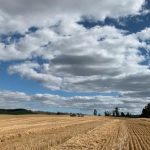 Instituto de Ciencias Agrícolas de Nestlé firma alianza con INIA para investigar aplicación de prácticas regenerativas en el cultivo de cereales
