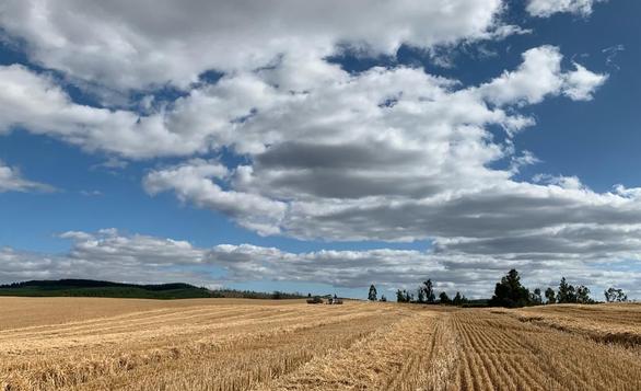 Instituto de Ciencias Agrícolas de Nestlé firma alianza con INIA para investigar aplicación de prácticas regenerativas en el cultivo de cereales