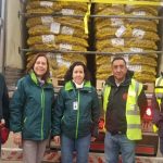 Región de Los Lagos: Inician exportación a Guatemala y Brasil de semilla de papa certificada