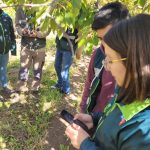 SAG implementa digitalización que disminuye hasta un 80% los tiempos en vigilancias fitosanitarias