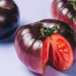 Investigadora crea tomates burdeos: necesitan 40% menos de agua
