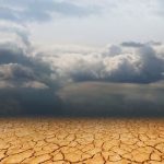 La edición genética en la agricultura : Un antídoto frente a “La Niña”