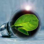 Participa AHORA en el Concurso Global de Innovación en Semillas Seed World 2025