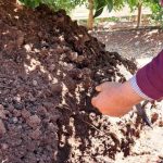 El suelo nuestro más preciado fundamento del sistema alimentario