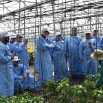 Misión a Chile destaca excelencia en producción de semillas de hortalizas