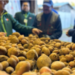Desarrollan charla para apoyar trabajo de productores de papa en la provincia de Arauco