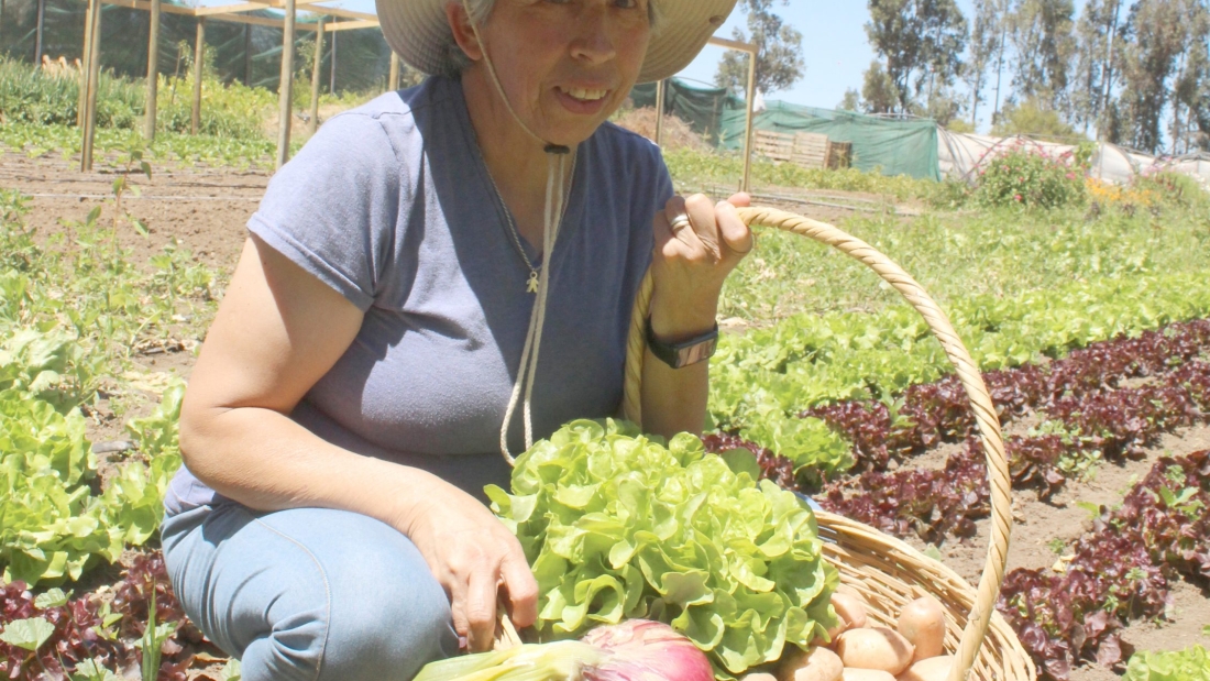 Carmen Rojas, sector Lagunillas Casablanca. productora hortalizas
