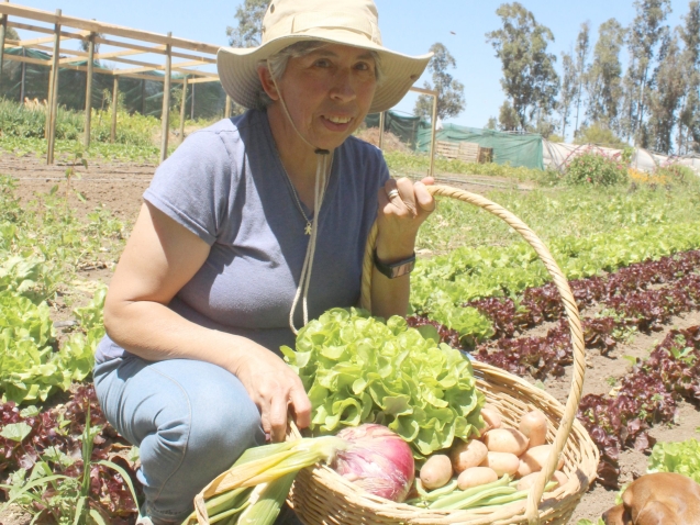 Carmen Rojas, sector Lagunillas Casablanca. productora hortalizas