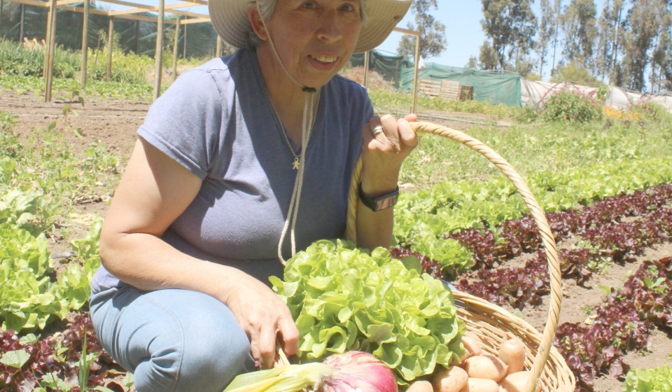 Carmen Rojas, sector Lagunillas Casablanca. productora hortalizas