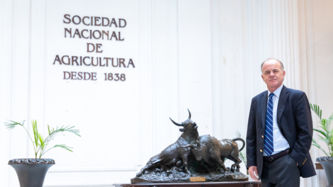 SNA-pagina-web-1