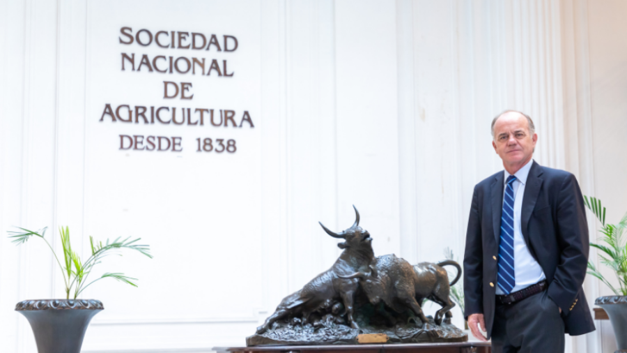 SNA-pagina-web-1