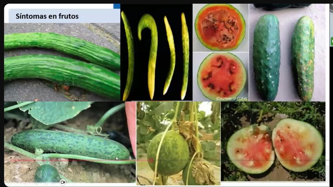 Captura de pantalla 2025-10-30 132415