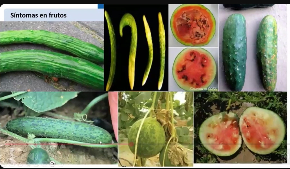 Captura de pantalla 2025-10-30 132415