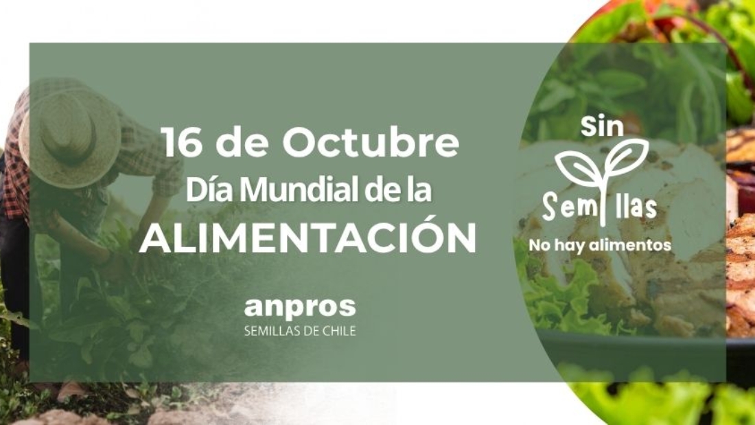 Día Internacional de la Alimentación
