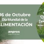 Las semillas: el origen de la alimentación mundial 🌱