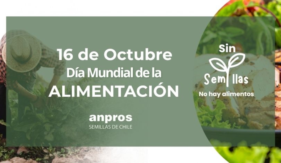 Día Internacional de la Alimentación