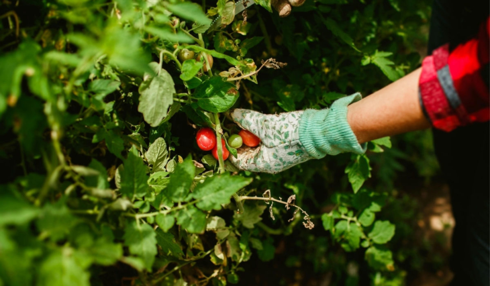 6942fc5cc2270_1200x719