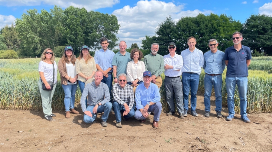 WhatsApp Image 2025-12-05 at 14.41.14 (Personalizado)