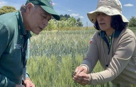 6989ffd0176c6_1200x719